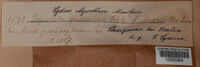 Image Associated With the Occurence